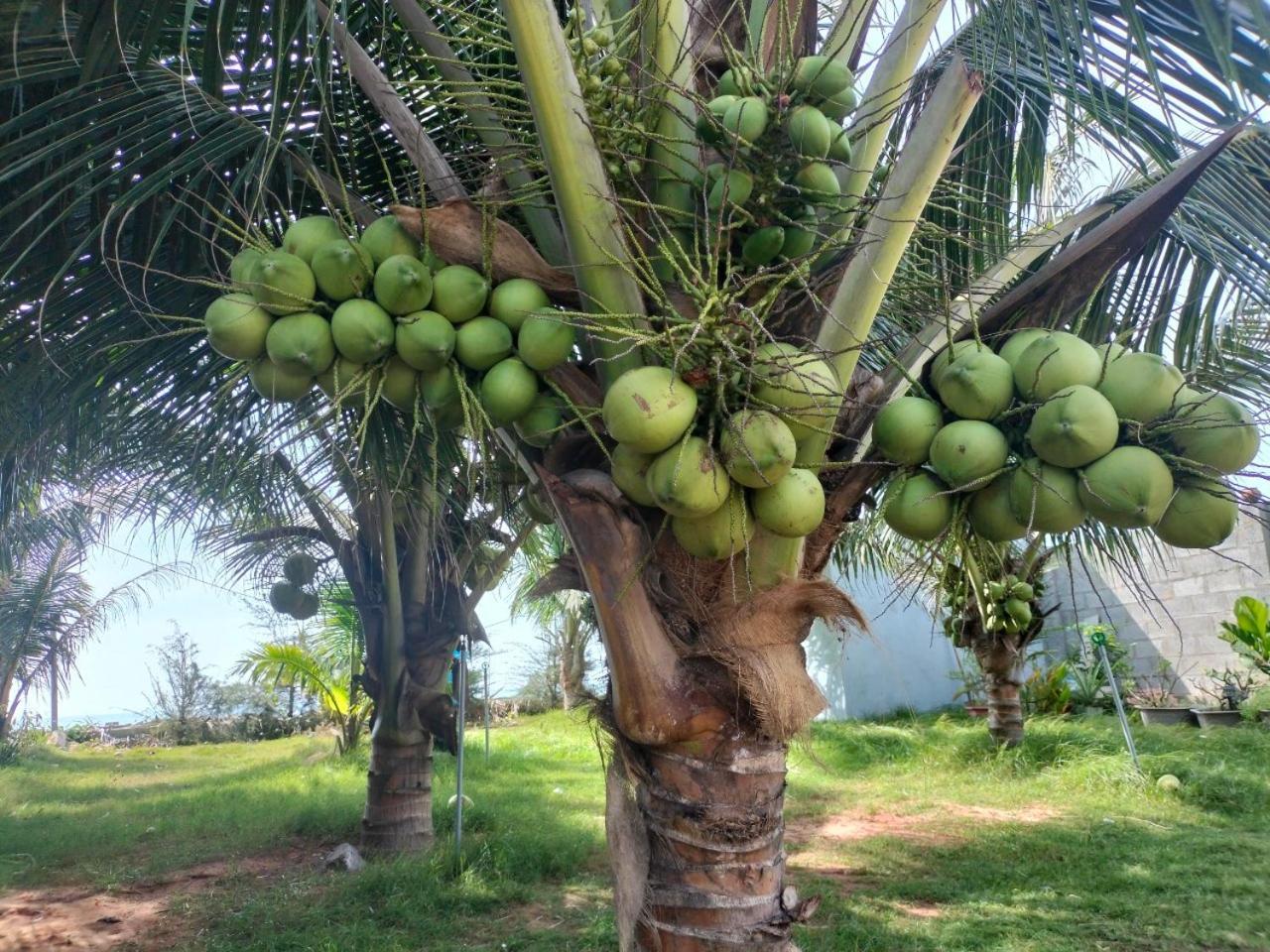 Bien Ngoc Homstay Phan Thiet Exterior photo