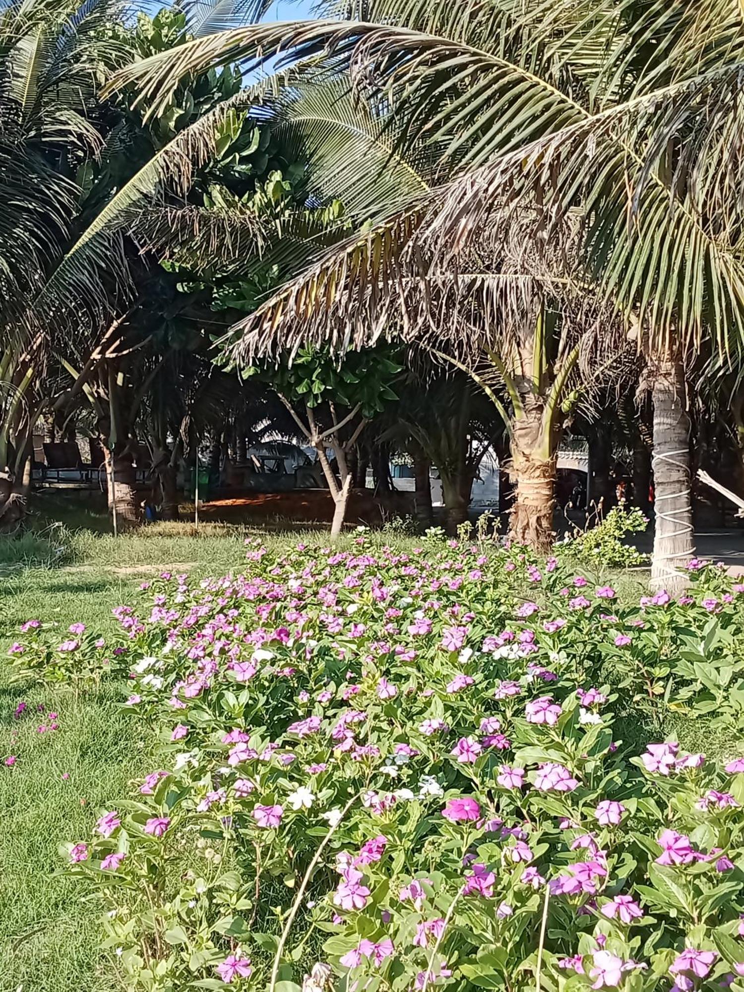 Bien Ngoc Homstay Phan Thiet Exterior photo