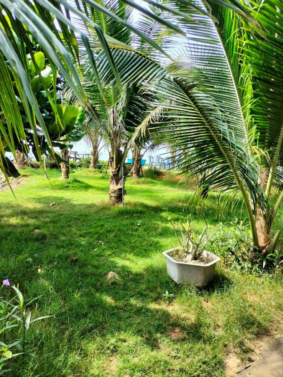 Bien Ngoc Homstay Phan Thiet Exterior photo